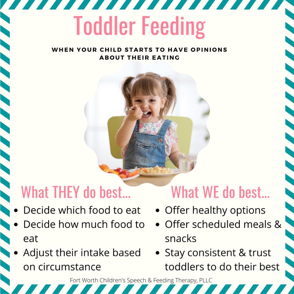 Toddler Feeding